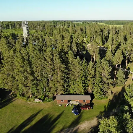 Apartment Metsjaerve