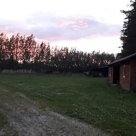 Metsjaerve Polva