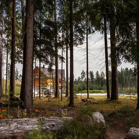 Metsjaerve Appartement Põlva