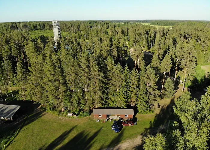 Apartment Metsjaerve