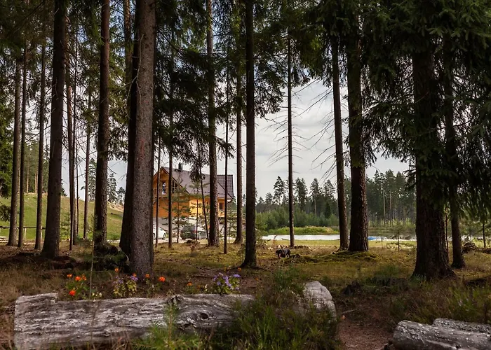 Metsjaerve Apartment Polva