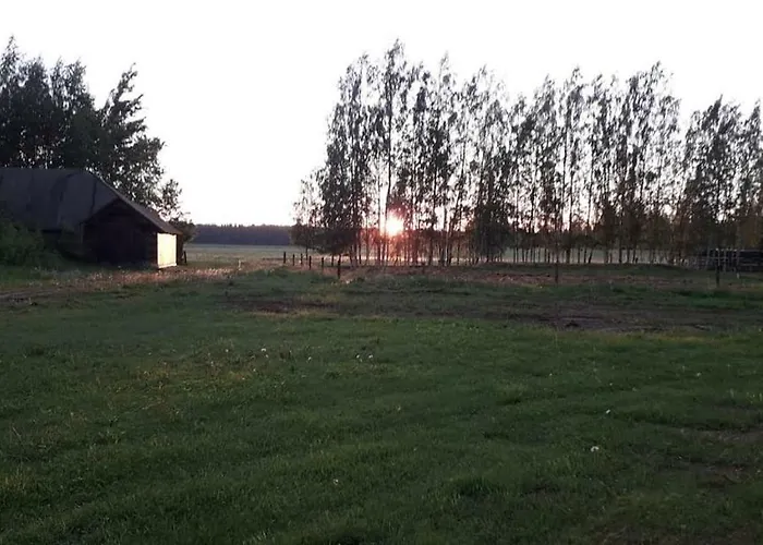 Apartment Metsjaerve